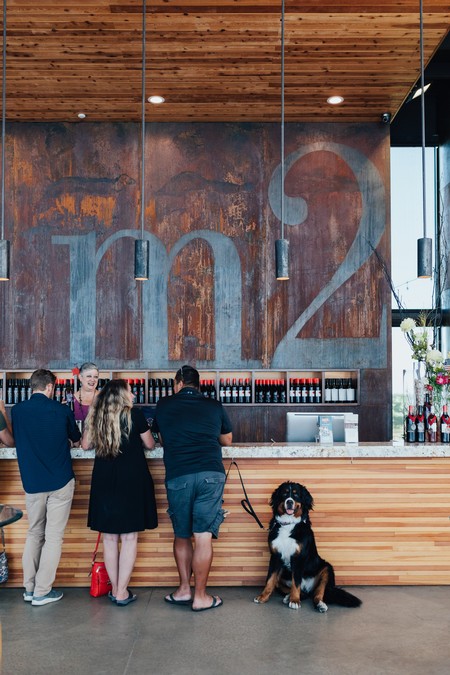People at the Lodi Winegrape Commission tasting bar with a dog, modern interior with wood accents and large logo on wall.