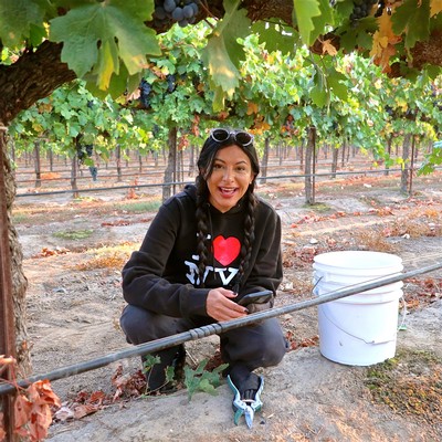 Woman harvesting grapes in a vineyard with a bucket, smiling and enjoying the winegrowing process.