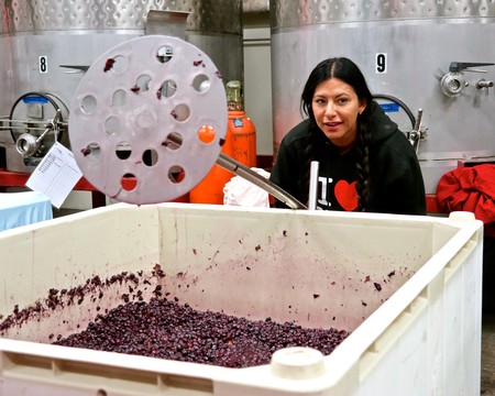 Woman inspecting freshly harvested wine grapes in a winery setting with stainless steel tanks in the background.