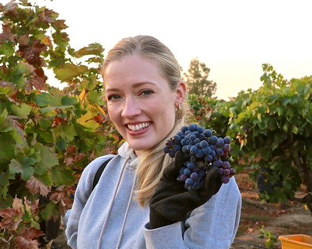 Young woman holding a bunch of dark purple grapes in a vineyard during harvest season.