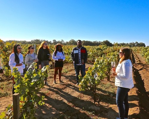 Group of people touring a vineyard in Lodi, California, during the day with clear blue skies.