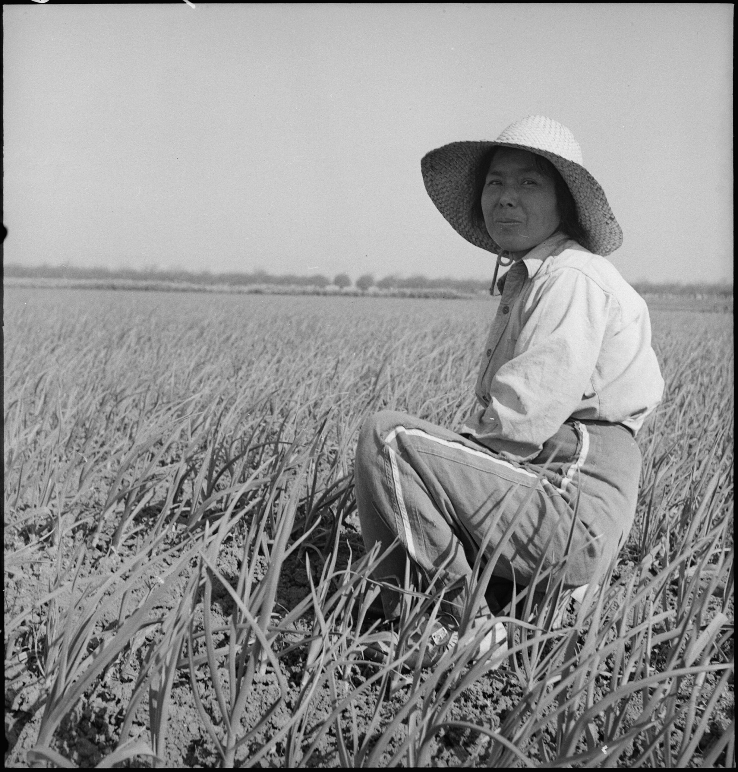 Woman in a wide-brimmed hat kneeling in a rice field, inspecting crops, black and white photo.