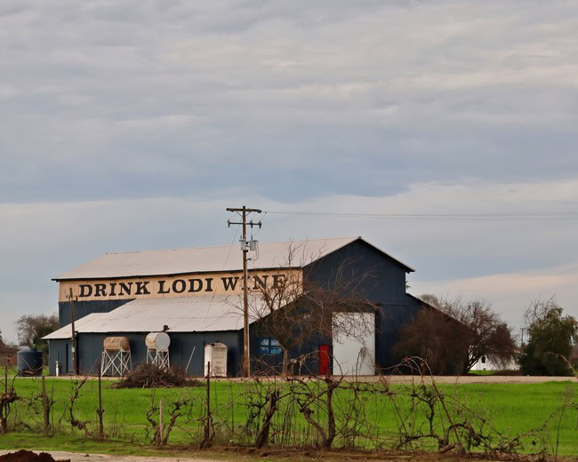 Lodi Winegrape Commission building in a rural setting with green fields and cloudy sky.