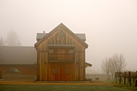 Old wooden barn in foggy vineyard setting in Lodi, California, with leafless trees and grapevines nearby.