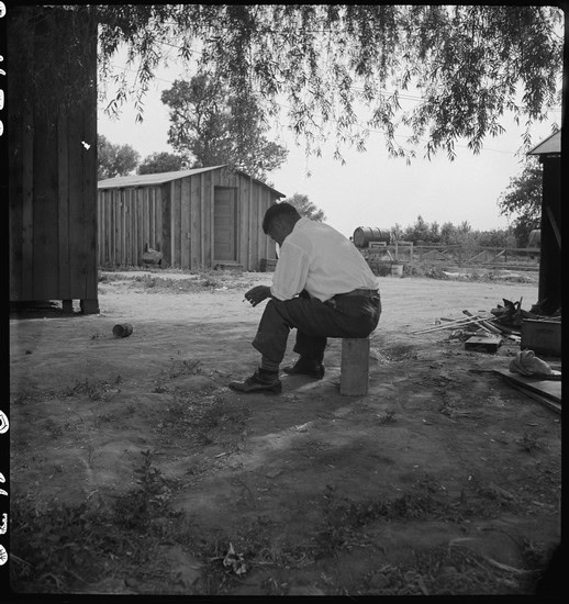 Man sitting on a small block outdoors, under a tree, with a barn and open landscape in the background.