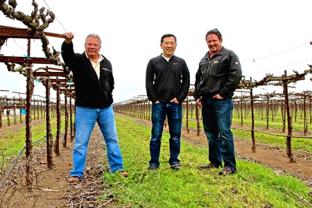 Three men standing in a vineyard with grapevines, smiling and posing for the photo.