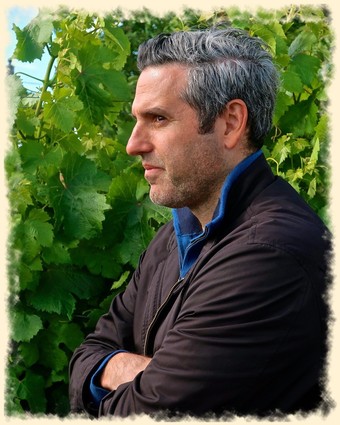 Profile of a man in vineyard with lush green grapevines in background, representing Lodi Winegrape Commission.