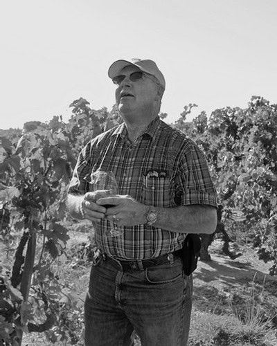 Man in vineyard holding a glass of wine, wearing sunglasses and a cap, inspecting grapevines in Lodi, California.