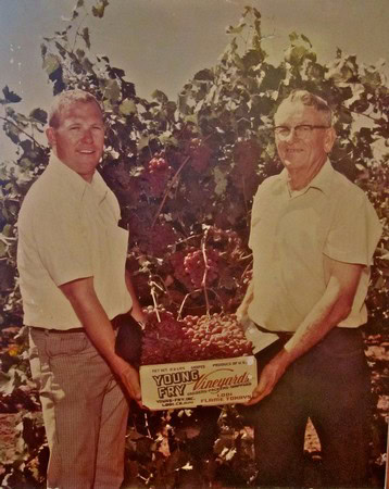 Two men in a vineyard holding a box of grapes, celebrating wine harvest in Lodi, California.