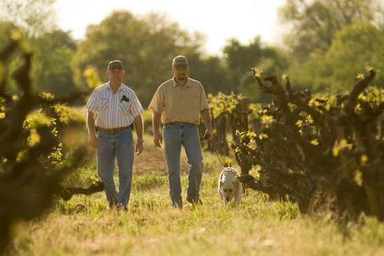 Two men walking through a vineyard with a dog, enjoying the scenic wine country in Lodi, California.