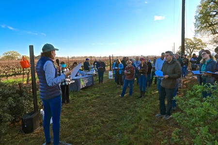 Group of people attending a vineyard tour organized by the Lodi Winegrape Commission outdoors.