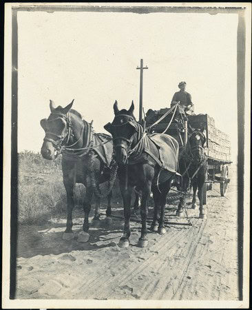 Black and white photo of a horse-drawn wagon on a dirt road, with a person riding on top, in a rural setting.