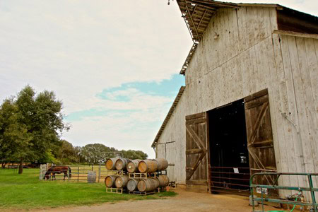 Rustic barn on a vineyard with wine barrels and grazing horses in Lodi, California.