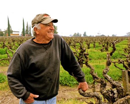 Happy winegrower inspecting grapevines in a lush vineyard in Lodi, California.