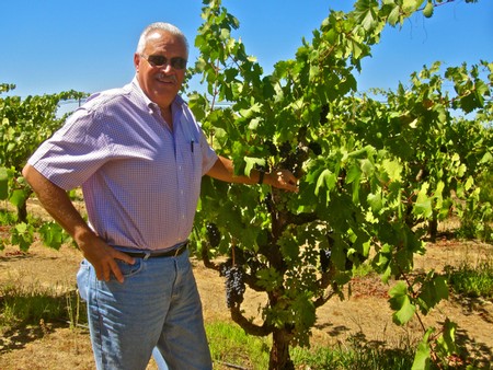 The historic relationship between Lodi's Zinfandel and unforgotten