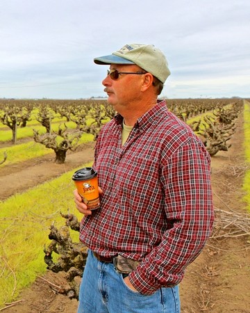Man in vineyard holding coffee cup, wearing plaid shirt and cap, overlooking grapevines in Lodi, California.