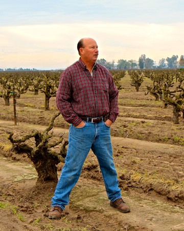 Man standing in a vineyard with pruned grapevines in Lodi, California, during daytime.
