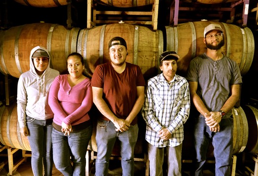 Group of five people standing in wine barrels at Lodi Winegrape Commission event.