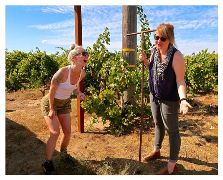 Two women inspecting grapevines in a vineyard during daytime, one using a refractometer, sunny weather, lush green vines.