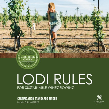 Young boy working in a vineyard, representing sustainable winegrowing practices in Lodi, California.