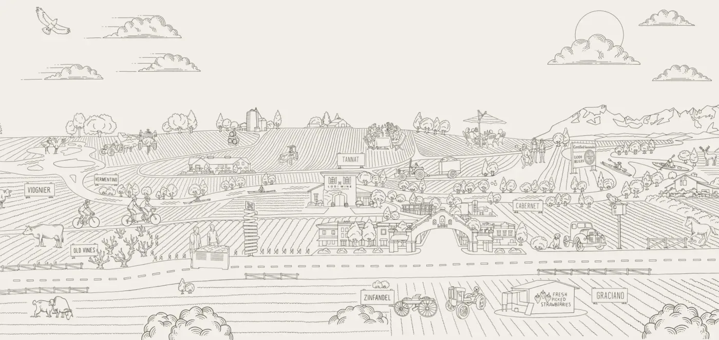 Illustration of Lodi wine region with vineyards, wineries, and rolling hills for wine tourism and grape growing.