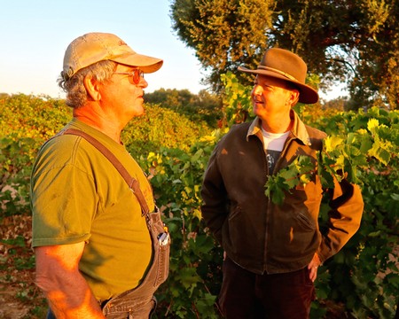 Two vineyard workers in conversation among lush grapevines in Lodi, California during sunset.