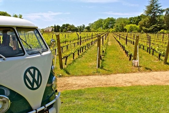 Vineyard rows in Lodi with a vintage Volkswagen van in the foreground, lush greenery, and clear blue sky.