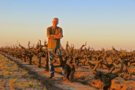 Man walking through a vineyard with gnarled grapevines at sunset in Lodi, California.