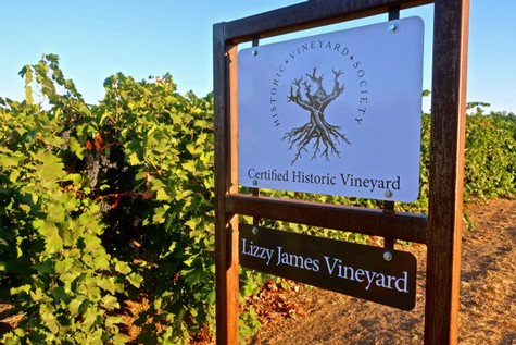 Vineyard sign for Lizzy James Vineyard, a certified historic vineyard in Lodi, California, with lush grapevines in the背景.