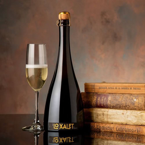 Celebratory bottle of sparkling wine with a glass of champagne and vintage books in the background.