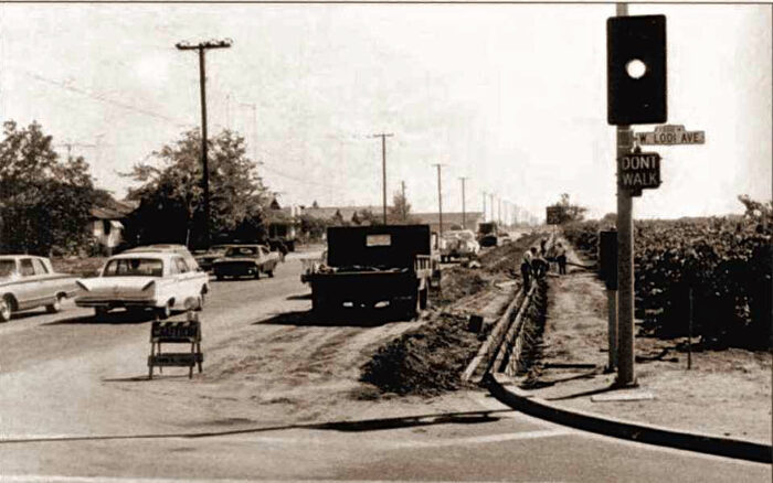 Vintage black and white photo of Lodi wine region with cars, street signs, and utility poles.