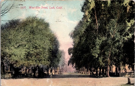 Vintage photo of West Elm Street in Lodi, California, with trees lining the street and historic buildings.