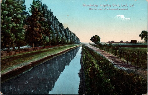 Historic Woodbridge Irrigating Ditch in Lodi, California, with lush vineyards and trees along the waterway.