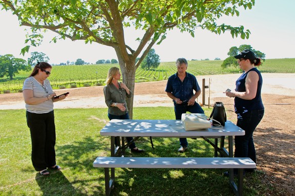 Group of people at a table under a tree discussing winegrapes in Lodi, California.