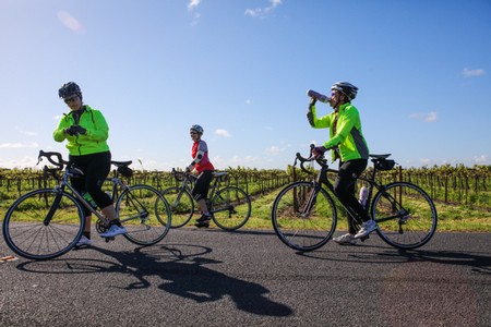 Cyclists riding through Lodi vineyards on a sunny day, enjoying wine country scenery and outdoor activity.