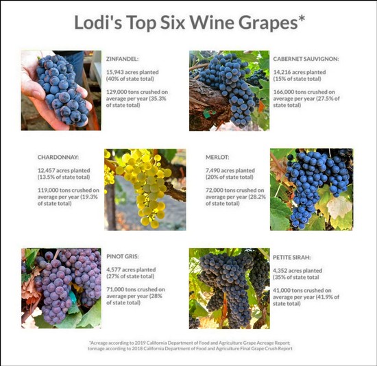 Lodi wine grapes including Zinfandel, Cabernet Sauvignon, Chardonnay, Merlot, Pinot Gris, and Petite Sirah.