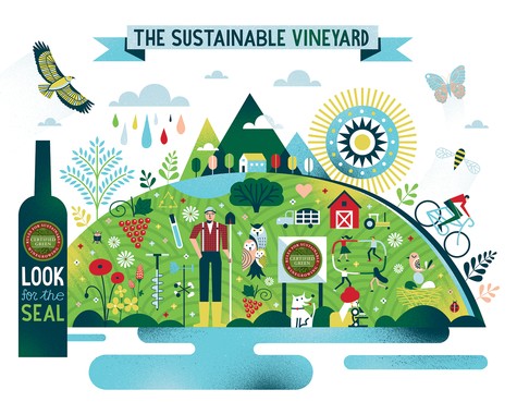 Illustration of a sustainable vineyard with mountains, animals, and eco-friendly farming practices in Lodi, California.