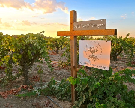 Vineyard sign at Faith Lot 13 Vineyard in Lodi, California, with lush grapevines and sunset sky in the background.