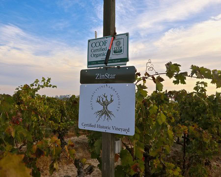 Vineyard sign indicating organic certification and historic vineyard status in Lodi, California.