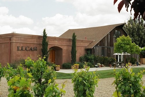 Vineyard scene at Lodi Winegrape Commission with lush grapevines and winery building in the background.
