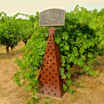Rustic Zin Star vineyard sign with star cutouts, established 1933, surrounded by lush grapevines in Lodi wine region.