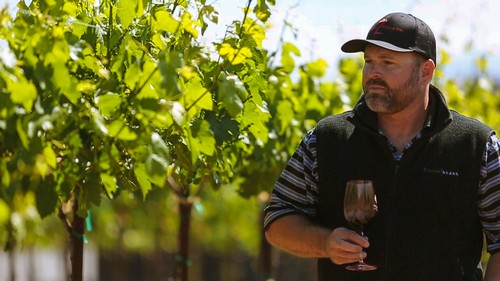Man tasting wine in a vineyard with lush grapevines in Lodi, California.
