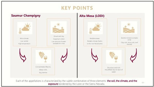 Infographic highlighting key climate and soil points for Saumur Champigny and Alta Mesa (Lodi) wine regions.