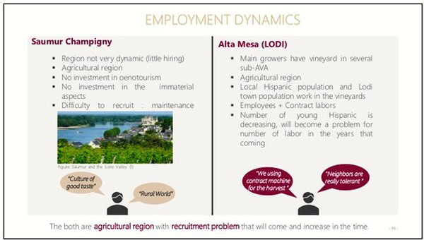 Lodi Winegrape Commission image showing employment and vineyard details in Lodi, California.