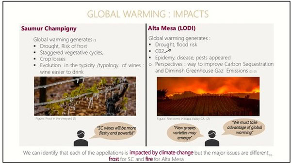 Lodi Winegrape vineyards affected by climate change and wildfires in California.
