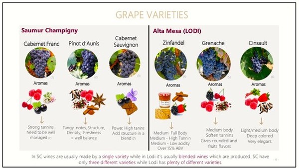Lodi winegrapes including Zinfandel, Grenache, and Cinsaut with aroma profiles and wine characteristics.