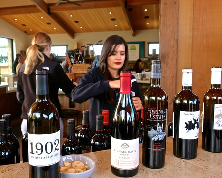 Woman selecting wine bottles at Lodi Winegrape Commission tasting event in a winery setting.