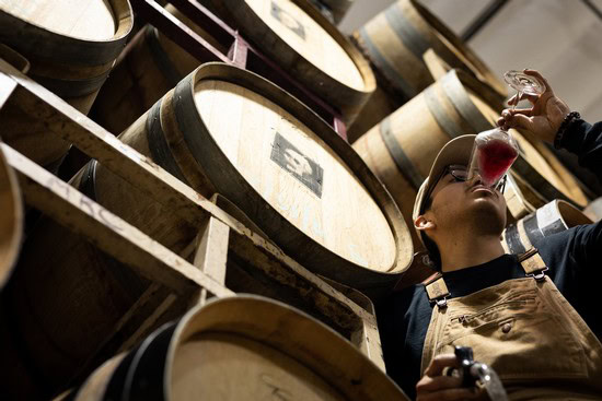 Woman tasting wine from a glass in a cellar with wooden barrels for wine aging in Lodi, California.