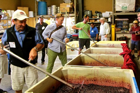 People sampling and inspecting Lodi winegrapes at a wine event or workshop.