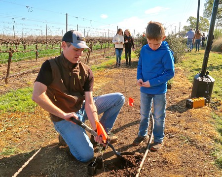 Young boy and man planting a grapevine in a vineyard during a community event in Lodi, California.